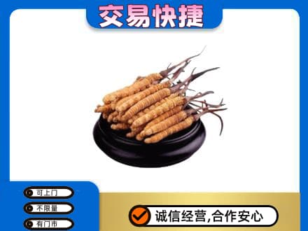 重庆市江津礼品回收散虫草.jpg